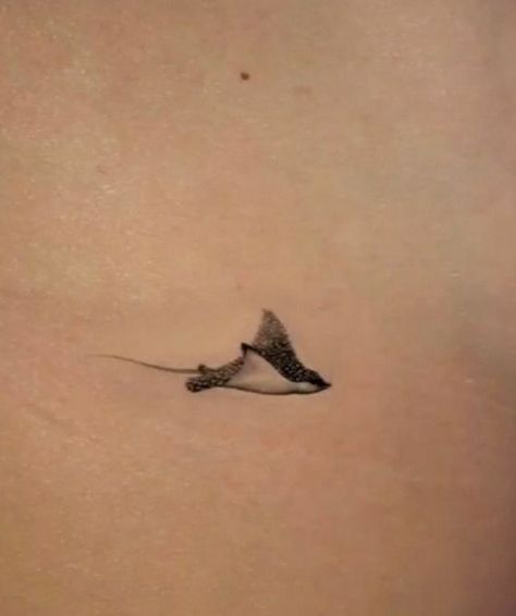 Water Animals Tattoo Ideas, Ocean Theme Small Tattoo, Dainty Sea Tattoos, Cute Tiny Animal Tattoos, Tattoo Sea Creatures, Marine Mammal Tattoo, Tiny Sea Creature Tattoos, Stingray Tattoo Small, Small Tattoos Sea Ocean