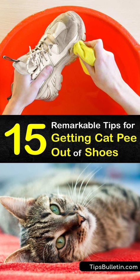 Get rid of the cat urine smell or a urine stain when your cat doesn’t use the litter box and has an accident in your shoes. Use white vinegar, rubbing alcohol, baking soda and a paper towel to quickly remove the foul odor and restore your shoes to smelling great. #cat #pee #shoe #remove Cat Pee Smell Removal, Remove Cat Urine Smell, Cat Urine Remover, Cat Pee Smell, Pee Stains, Smell Remover, Cat Urine Smells, Pee Smell, Smelly Shoes