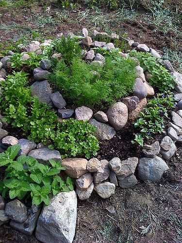 A popular gardening technique, often associated with Permaculture.  Some London Permaculture Herb Spiral photos here Herb Spiral Garden, Herb Spiral, Spiral Garden, Garden Sanctuary, Flower Tower, Plants Growing, Stone Garden, Have Inspiration, The Secret Garden