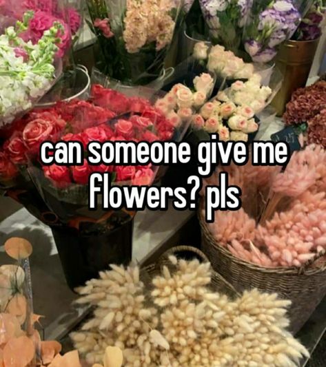 I Want Flowers, Give Me Flowers, Receiving Flowers, Pretty Flowers Pictures, Boquette Flowers, Nothing But Flowers, Flower Therapy, My Ex, Pretty Plants