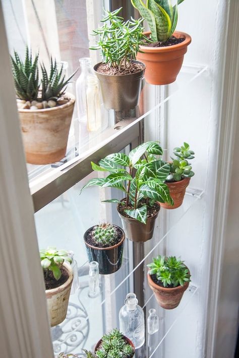 DIY Floating DIY Shelves and Do It Yourself Shelving Ideas - DIY Floating Window Shelves - Easy Step by Step Shelf Projects for Bedroom, Bathroom, Closet, Wall, Kitchen and Apartment. Floating Units, Rustic Pallet Looks and Simple Storage Plans #diy #diydecor #homeimprovement #shelvesShelves Indoor Gardening Diy, Small Kitchen Decoration, Window Plant Shelf, Jardim Diy, Plant Window, Window Plants, Window Shelves, Indoor Window, Small Kitchen Decor