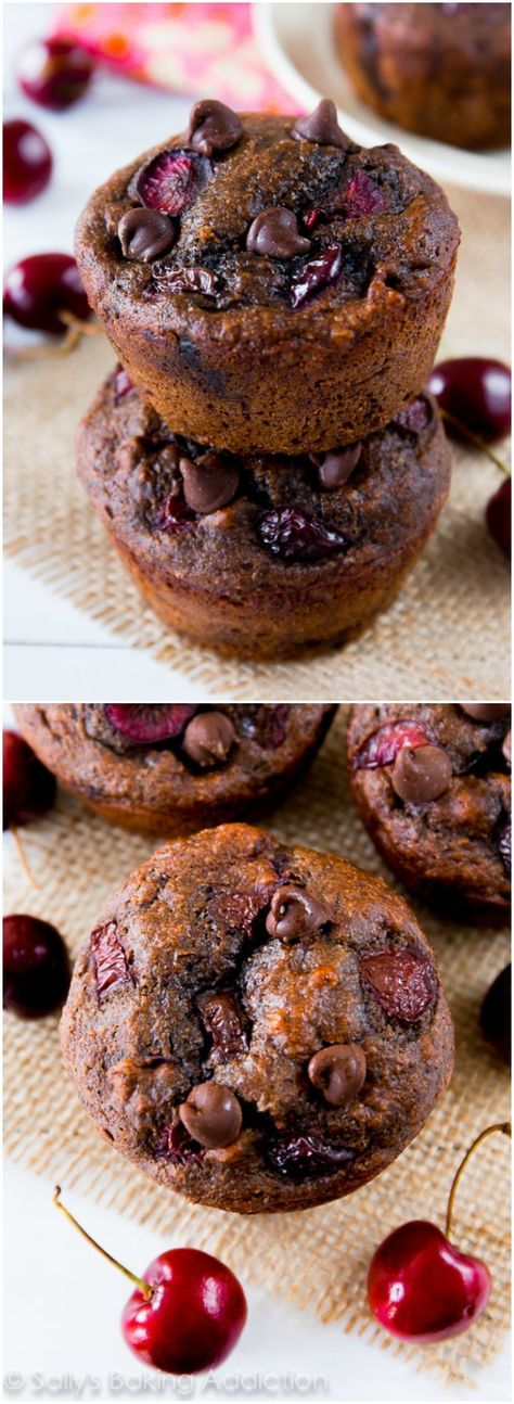 Grab the easy recipe for this 110 calorie chocolate muffins on sallysbakingaddiction.com Fudge Muffins, Chocolate Cherry Muffins, Cherry Muffin, Mini Chocolate Chip Muffins, Double Chocolate Chip Muffins, Cherry Muffins, Sallys Baking, Muffins Recipes, Sally's Baking