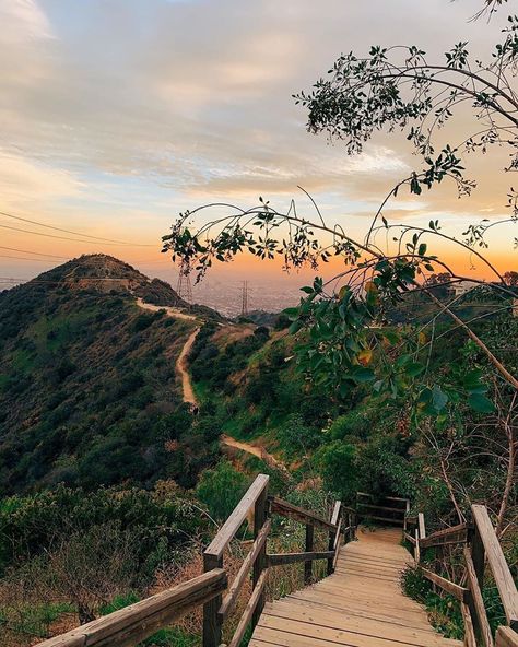 La Bucket List, La Hikes, Beautiful Hikes, What Is Your Favorite, California Travel, Dog Friendly, Los Angeles California, Dog Friends, Beverly Hills