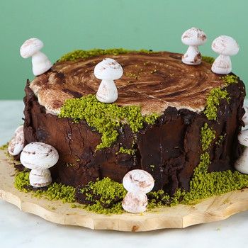 Moss Cake, Everything Chocolate, Tree Stump Cake, Cookies Fruit, Nature Cake, Mushroom Cake, 17 Birthday Cake, Dessert Treats, Yule Log Cake