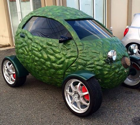 Cracked Windshield Repair, Funny Looking Cars, Watermelon Car, Car Memes, Sunflower Tattoo Design, Sunflower Art, Wedding Hair Down, Smart Car, Unique Cars