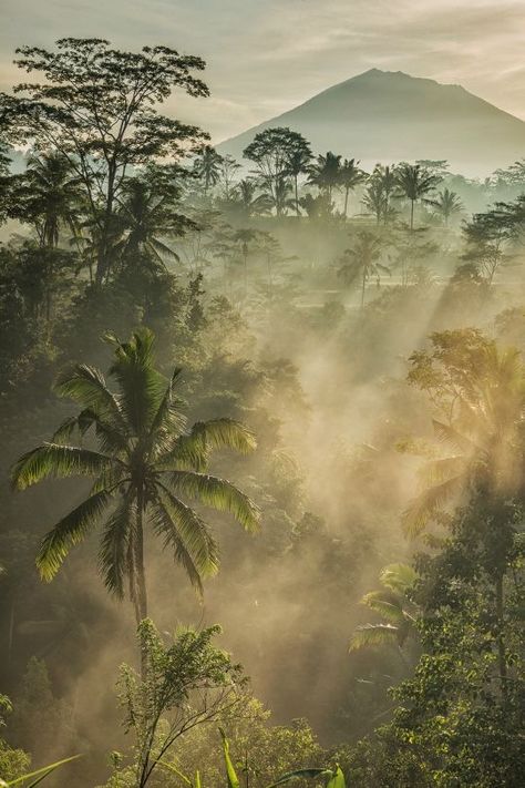 Misty Jungle, Mount Agung, Bali Nature, Jungle Aesthetic, Desain Lanskap, In The Jungle, Alam Semula Jadi, Tropical Vibes, Nature Aesthetic