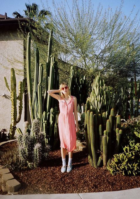 Photo Cactus Fashion Editorial, Cactus Photoshoot, Cactus Fashion, Desert Dream, Desert Fashion, Desert Vibes, Fashion Photography Inspiration, Cactus Garden, Green Life