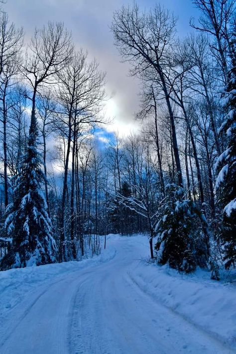 Minocqua Wisconsin, Wisconsin Winter, Winter Beauty, Look In The Mirror, Heaven On Earth, Photo Inspiration, Wisconsin