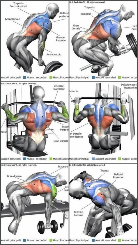 Back Weight Exercises, Workouts Weights, Wellness Nutrition, Trening Sztuk Walki, Weight Exercises, Best Chest Workout, Gym Antrenmanları, Volleyball Workouts, Gym Workout Chart