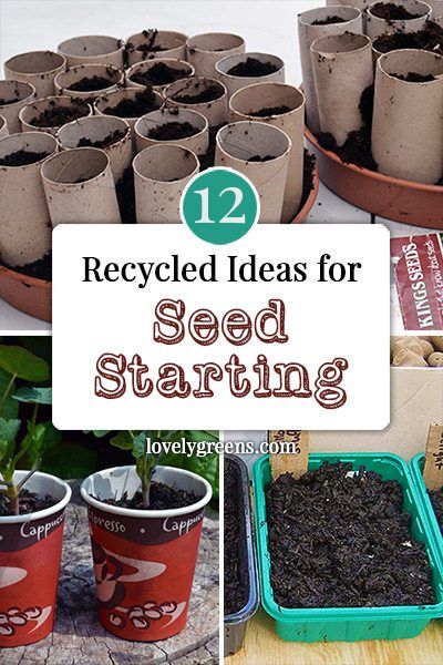 12 Recycled Ideas for Seed Starting: Ideas for starting off your seeds in recycled materials and containers including toilet paper rolls, eggshells, and upcycled plastic cloches. #lovelygreens #gardening #vegetablegardening Recycled Ideas, Lovely Greens, Starting Seeds, Seedling Pots, Toilet Paper Rolls, Recycled Garden, Meteor Garden 2018, Garden Design Layout, Food Garden