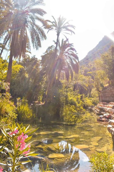 Visiting Taghazout and Paradise Valley Morocco - Stoked to Travel Natural Pools Backyard Diy, Paradise Valley Morocco, Morocco Taghazout, Morocco Nature, Morocco Vacation, Taghazout Morocco, Ancient Landscape, Casablanca Hotel, Surf Town