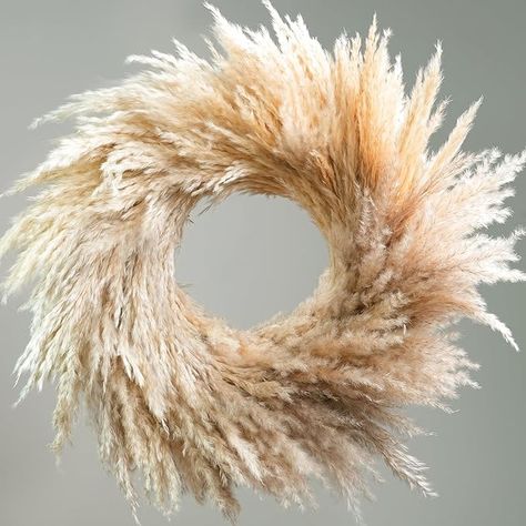 Amazon.com: RoseTalk Natural Pampas Grass Wreath, 14'' Real Pampas Wreath for Front Door, Boho Wall Decor, Farmhouse Style, DIY Wreath Arrangement, Feather Wall Decor : Home & Kitchen Eucalyptus Door Swag, Thanksgiving Door Decorations For Home, Pampas Grass Wreath Front Door, Pampas Grass Fall Decor, Neutral Halloween Wreath, Large Front Door Wreath, Modern Fall Wreaths For Front Door, Small Front Door Decor Entrance, Simple Fall Wreaths For Front Door