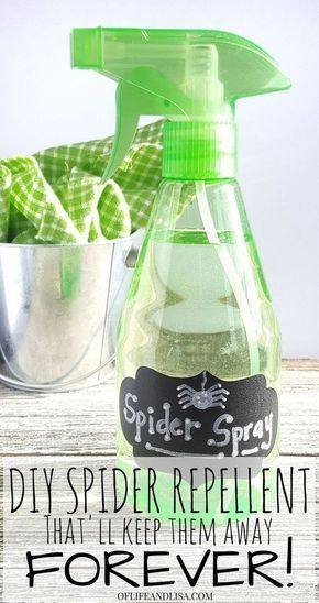 Spider Spray Diy, Spiders Repellent Diy, Natural Spider Repellant, Spider Repellent, Spider Spray, Repellent Diy, Spiders Repellent, Diy Bug Spray, Bug Spray Recipe