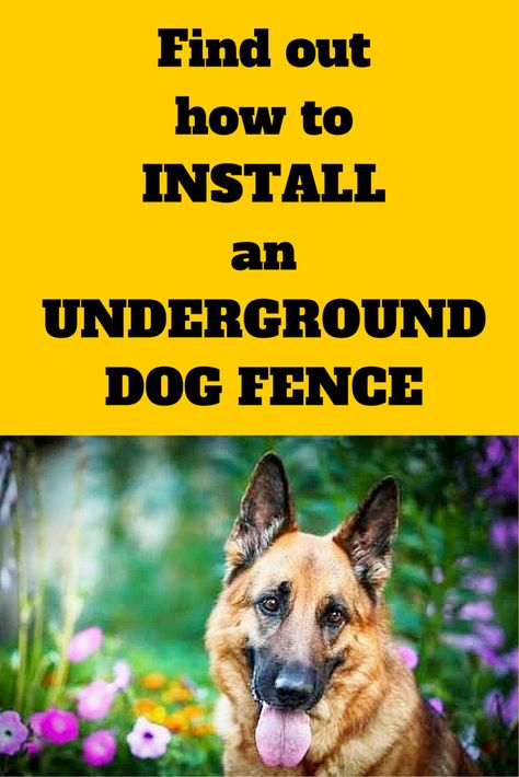 Diy Dog Fence, Dog Life Hacks, Invisible Fence, Pet Fence, Dog Teeth Cleaning, Dog Fence, Dog Hacks, Dog Obedience, Dog Training Obedience