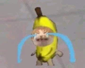 Crying banana cat meme Banana Cat, A Cat