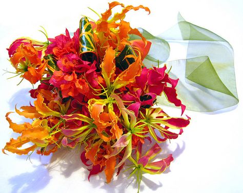 BAM Gloriosa Lily Bouquet, Flower Bouquet Pictures, Gloriosa Lily, Orange And Pink Wedding, Fire Lily, Tropical Wedding Bouquets, Paradise Wedding, Orange Bouquets, Lily Bouquet