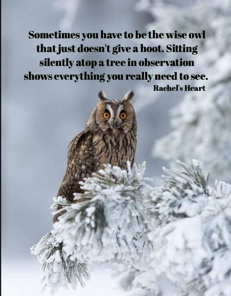 Digital Grimoire, Owl Quotes, Goddess Spirituality, Owl Wisdom, Life Advice Quotes Inspiration, Life Advice Quotes, Earth Goddess, Owl Family, Wise Owl