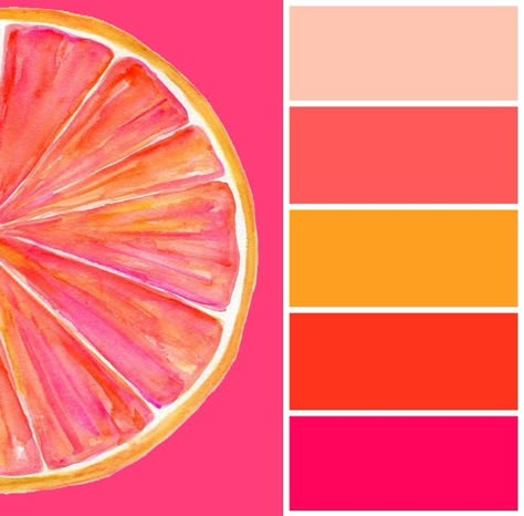 Pink And Tangerine Color Palette, Orange And Pink Color Scheme, Joyful Colour Palette, Hot Pink Pallette, Grapefruit Color Palette, Pink Orange Color Palette, Fruit Color Palette, Citrus Color Palette, Couleur Feng Shui