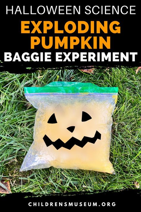 Baggie lying on the grass filled with orange liquid puffed up and ready to explode. There's a jack o'lantern face drawn on the front of the baggie with two triangle eyes, a triangle nose, and a zig zag smile. Food Science Experiments, Pumpkin Science Experiment, Halloween Experiments, Pumpkin Science, Orange Food, Baking Soda And Vinegar, Halloween Science, Orange Food Coloring, Baking Soda Vinegar