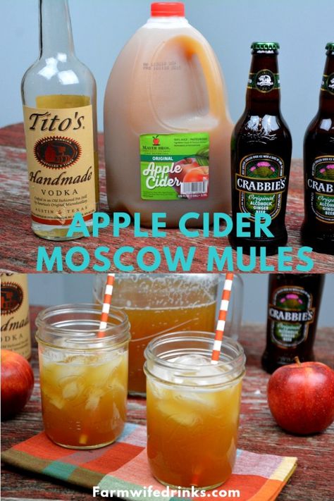 Apple Cider Moscow Mule Recipe Pitcher, Apple Cider Mule Ginger Beer, Apple Mule Ginger Beer, Fall Moscow Mule Pitcher Recipe, Apple Cider Moscow Mule Recipe, Apple Cider Moscow Mule Pitcher, Thanksgiving Cocktails Pitcher, Apple Cider Vodka Punch, Apple Cider Ginger Beer