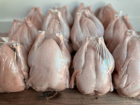 Meat Chickens Breeds, Raising Meat Chickens, Shoe Organization Diy, Chicken Brooder, Chickens For Sale, Agriculture Business, Family Compound, Eggs Recipes, Meat Processing