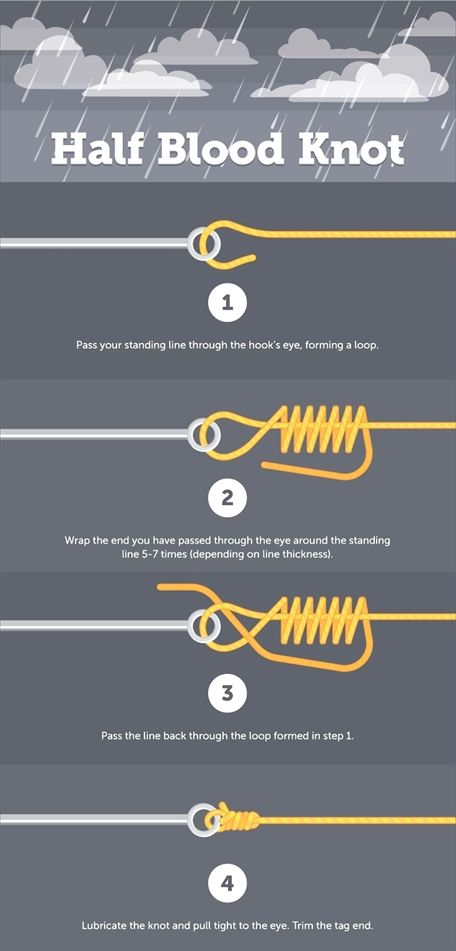 How To Tie Fishing Lures, Blood Knot, How To Tie A Knot, Fly Fishing Knots, Fishing Hook Knots, Hook Knot, Camping Knots, Fish Bait, Tie A Knot