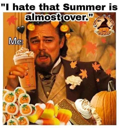 Fall Mood Board, Pumpkin Spice Season, Fall Feels, Chuck Norris, Best Seasons, Autumn Aesthetic, Halloween Season, Fall Fun, Just For Laughs Videos