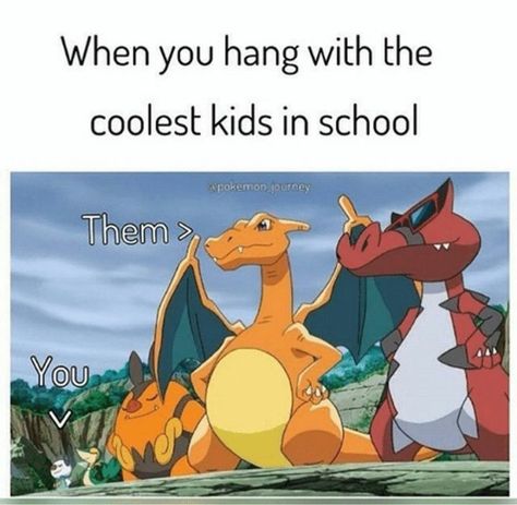 71 Pokémon memes - "When you hang with the coolest kids in school. You. Them." Pokemon Stadium, School Pic, Original Pokemon, Play Pokemon, Pokemon Memes, Pokemon Funny, School Memes, Hilarious Memes, All Pokemon