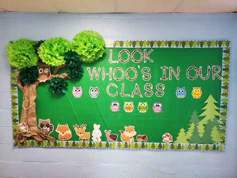 Nature Bulliten Board, Forest Theme Classroom Bulletin Boards, Forest Themed Preschool Classroom, Woodland Theme Bulletin Board Ideas, Forest Animal Bulletin Board Ideas, Woodland Classroom Theme Bulletin Boards, Forest Theme Bulletin Board Ideas, Forest Theme Classroom Decorations, Zoo Bulletin Board Ideas Preschool