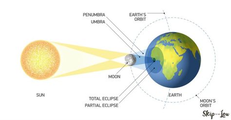 Solar Eclips, Special Education Science, Solar And Lunar Eclipse, Partial Eclipse, Moon Orbit, Skip To My Lou, Sun And Earth, Earth Orbit, Total Eclipse