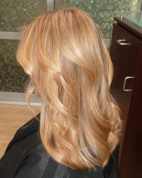 Light golden blonde/strawberry blonde. . . . #nicolesaaavedracolorist #mastercolorist #hair #haircolor #joico #hairgoals #hairlife… | Instagram Light Golden Blonde, Copper Blonde Hair, Light Strawberry Blonde, Warm Blonde Hair, Beige Blonde Hair, Strawberry Blonde Hair Color, Strawberry Hair, Golden Blonde Hair, Ginger Hair Color