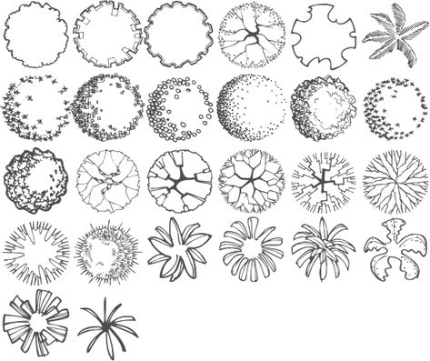 Architectural Trees, Sketch Landscape, Landscape Architecture Graphics, Sketch Architecture, Tree Sketch, Landscape Design Drawings, Landscaping Trees, Landscape Architecture Drawing, Tree Plan