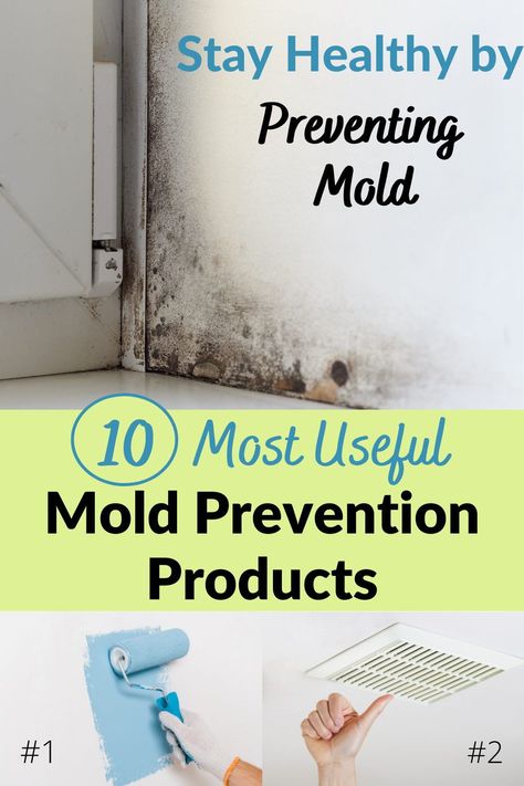 Mold was a huge problem for us. We moved and now I want to do everything I can to keep it from happening again. This was very helpful on my journey to keep healthy and away from mold. Natural Headache Relief, Mold Prevention, House Mold, Must Have Products, Useful Products, Natural Headache Remedies, Natural Healing Remedies, Natural Health Care, Headache Relief