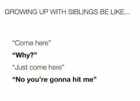 Siblings Funny Quotes, Sibling Memes, Growing Up With Siblings, Sibling Quotes, Siblings Funny, Quotes Arabic, Brother Quotes, Funny Relatable Quotes, Hysterically Funny