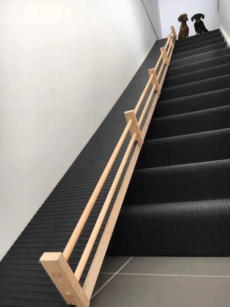 Diy Ramp For Dogs, Diy Dog Ramp For Stairs, Ramps For Dogs, Dog Ramp For Stairs, Dog Ramp Diy, Ramps And Stairs, Cat Ramp, Dog Ramp For Bed, Ramp Stairs