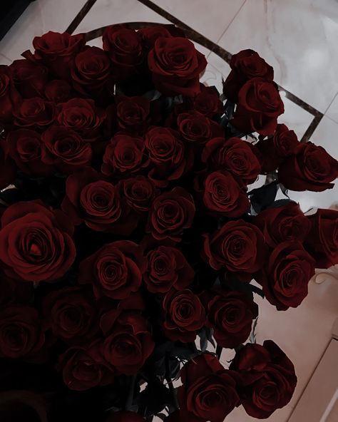 Wine Red Aesthetic, Aesthetic Wine, Dark Feminine, Red Aesthetic, Wine Red, Red Roses, Roses, Wine, Red