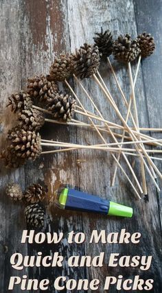 How to Make Quick and Easy Pine Cone Picks • Craft Invaders Budget Farmhouse, Painted Pinecones, Pine Cone Art, Christmas Pine Cones, Diy Pinecone, Rope Decor, Hemma Diy, Christmas Crafts To Make, Pine Cone Decorations