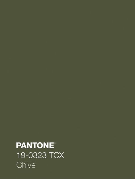 Olive Green Paints, Italian Olives, Pantone Colour Palettes, Green Paint Colors, Kitchen Cabinet Colors, Dark Olive Green, Kitchen Inspiration Design, Paint Samples, Italian Wedding