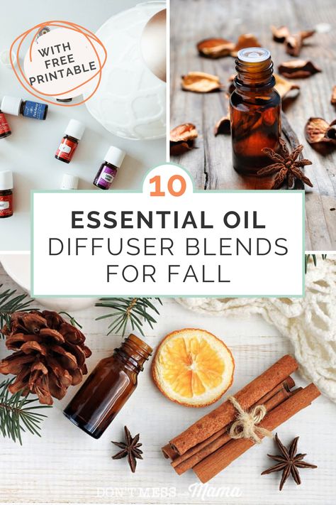 Want to get your home all cosey for fall? You need these fall essential oil blends. With these 10 fall diffuser blends your home will smell incredible and leave you feeling calm and cosey. Diy Fall Essential Oil Blends, Fall Smells Essential Oils, Essential Oil Mixes For Fall, Essential Oil Recipes For Diffusers, Fall Defuser Sents, Oil Combinations To Diffuse, Fall Scent Diffuser Blends, Essential Oil Recipes Diffuser Fall, Natural Fall Scents For Home