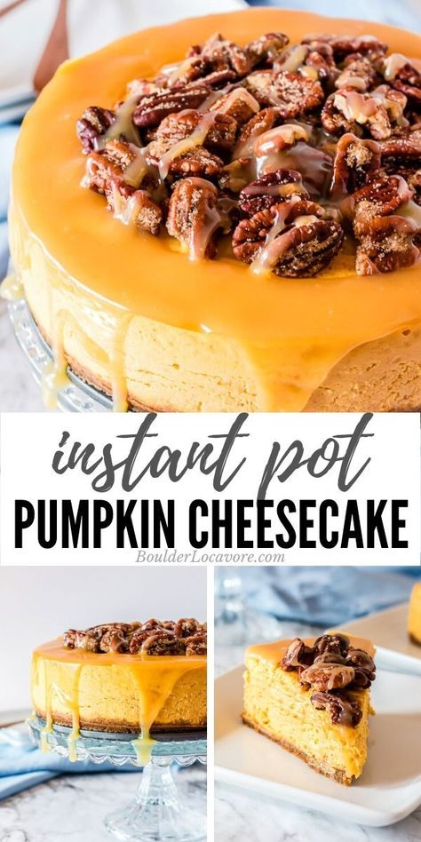 Gingersnap Cheesecake, Instant Pot Pumpkin, Cheesecake Pumpkin, Caramel Pumpkin, Monster Munch, Gingersnap Crust, Pumpkin Cheesecake Recipes, Recipe Pumpkin, Thanksgiving Food Desserts