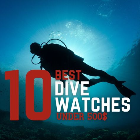 Best Dive Watches Under $500 Vintage Dive Watches, Diving Watch, Deep Sea Diving, Scuba Gear, Diver Watch, Shark Diving, Divers Watch, Luxury Watch Brands, Elapsed Time