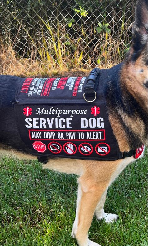 Diy Service Dog Gear, Service Dogs Gear For School, Service Dogs Vest, Psychiatric Service Dog Patches, Service Dog Vest Pattern, Service Dog Gear For School, Cute Service Dog Vest, Dog Vest Pattern, Service Dog Gear