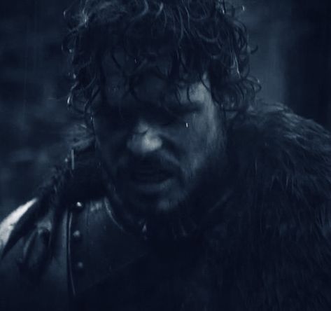 Rob Stark Aesthetic, Robb Stark Aesthetic, Rob Stark, Game Of Thrones Pictures, Stark Aesthetic, Yes My Lord, Narnia 3, Game Of Thrones Costumes, Scottish Man