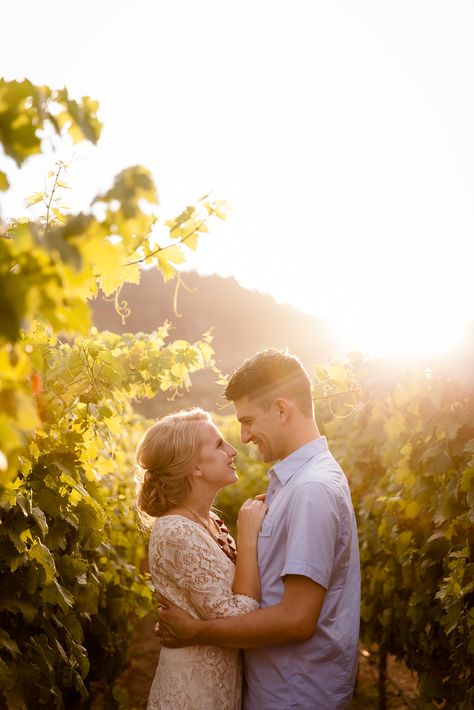 Vineyard Family Photoshoot, Engagement Photos Winery Vineyard, Vineyard Wedding Photography, Vineyard Photoshoot, Vineyard Engagement Photos, Vineyard Engagement, Winery Engagement, Vineyard Photography, Shooting Couple