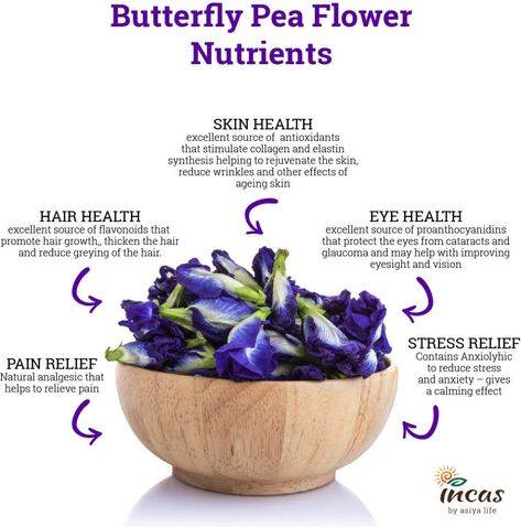 Dried Butterfly, Pea Flower Tea, Butterfly Pea Flowers, Butterfly Pea Tea, Butterfly Pea Flower Tea, Brain Booster, Natural Caffeine, Butterfly Pea Flower, Skin Detox