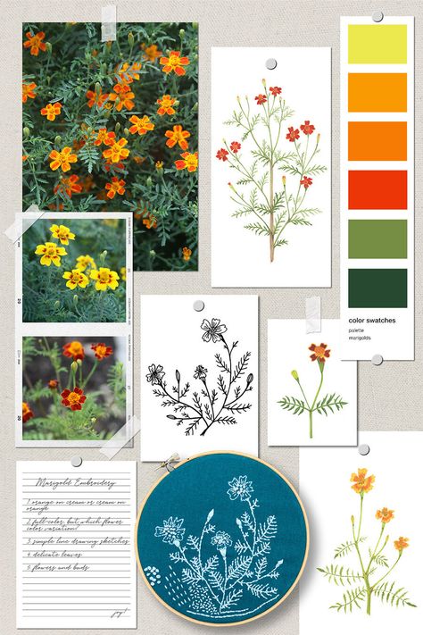 The Story Behind My Beautiful New Marigold Botanical Embroidery Designs — My Giant Strawberry Marigold Embroidery, Giant Strawberry, Botanical Embroidery, Garden Magic, Digital Embroidery Patterns, Simple Line Drawings, Dmc Embroidery Floss, Embroidery Supplies, Hoop Art