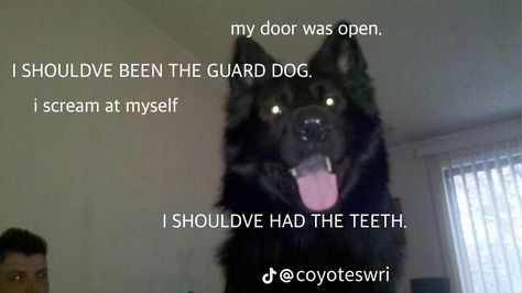 Angry Dog Poetry, Dog Metaphor, Animal Poetry, Canine Poetry, Dog Poetry, Dog Poems, Werewolf Aesthetic, Dog Motif, Unspoken Words