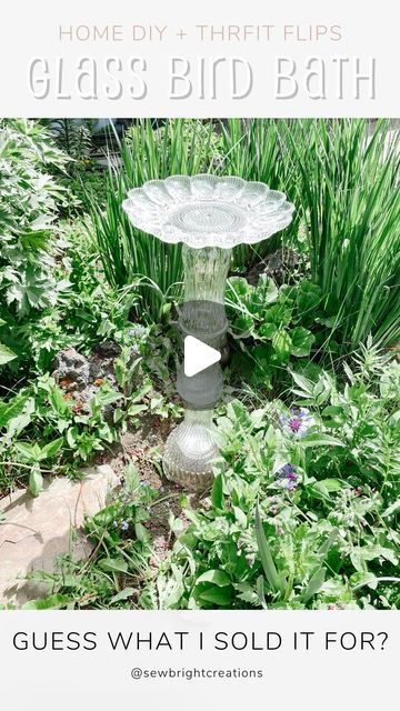 Glass Bird Bath, Was It Worth It, Pocket Garden, Birdhouse Craft, Miniature Terrarium, Diy Bird Bath, Potted Plants Outdoor, Plants Outdoor, Patio Planters