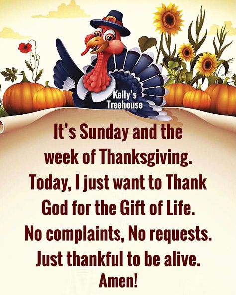 Happy Thanksgiving Pictures, Happy Thanksgiving Images, Thanksgiving Messages, Thanksgiving Week, Thanksgiving Blessings, Thanksgiving Wishes, Good Morning Happy Sunday, Weekday Quotes, Thanksgiving Images