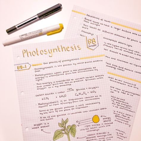 Photosynthesis Notes Aesthetic, Gcse Notes, Notes Aesthetic, Aesthetic Notes, Study Related, Notes Ideas, Academic Validation, Biology Notes, School Study